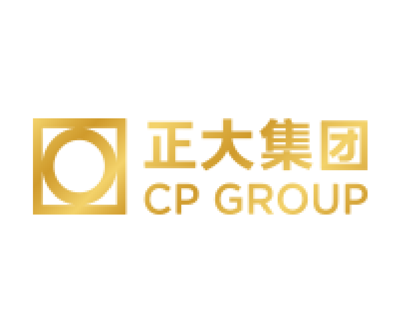 正大严选
