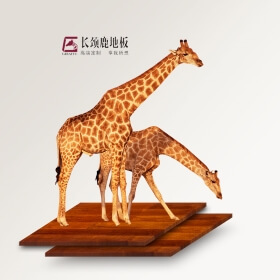 长颈鹿品牌官网