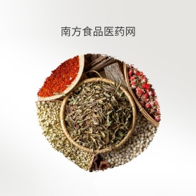 南方食品药品集团