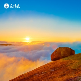 东阳光集团